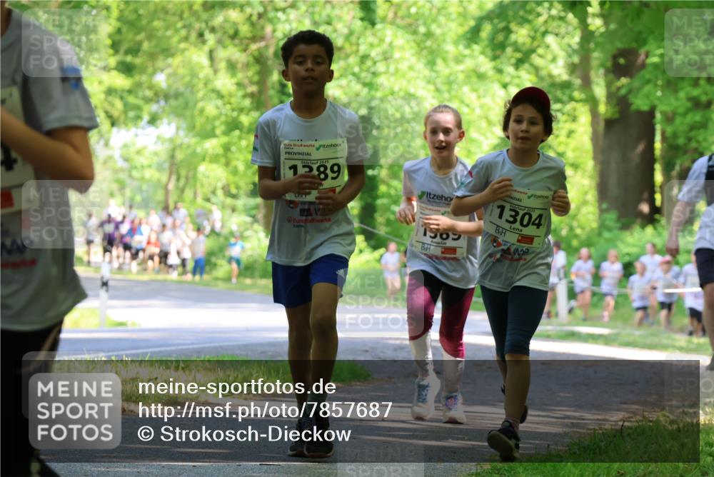 17.05.2025 - Störlauf Strokosch-Dieckow http://msf.ph/oto/7857687 17.05.2025 14:48:15 Laufen 2025, 1289, 1531, 1569, 2025, 1304 meine-sportfotos.de