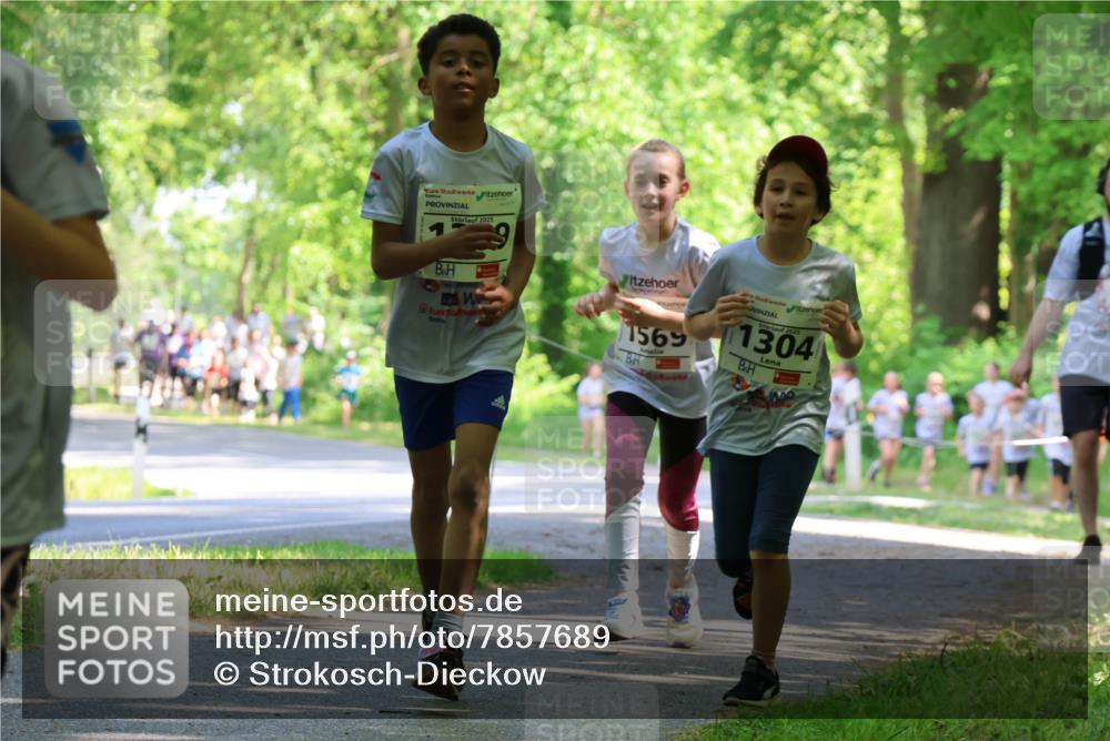 17.05.2025 - Störlauf Strokosch-Dieckow http://msf.ph/oto/7857689 17.05.2025 14:48:15 Laufen 2025, 1569, 2025, 1304 meine-sportfotos.de