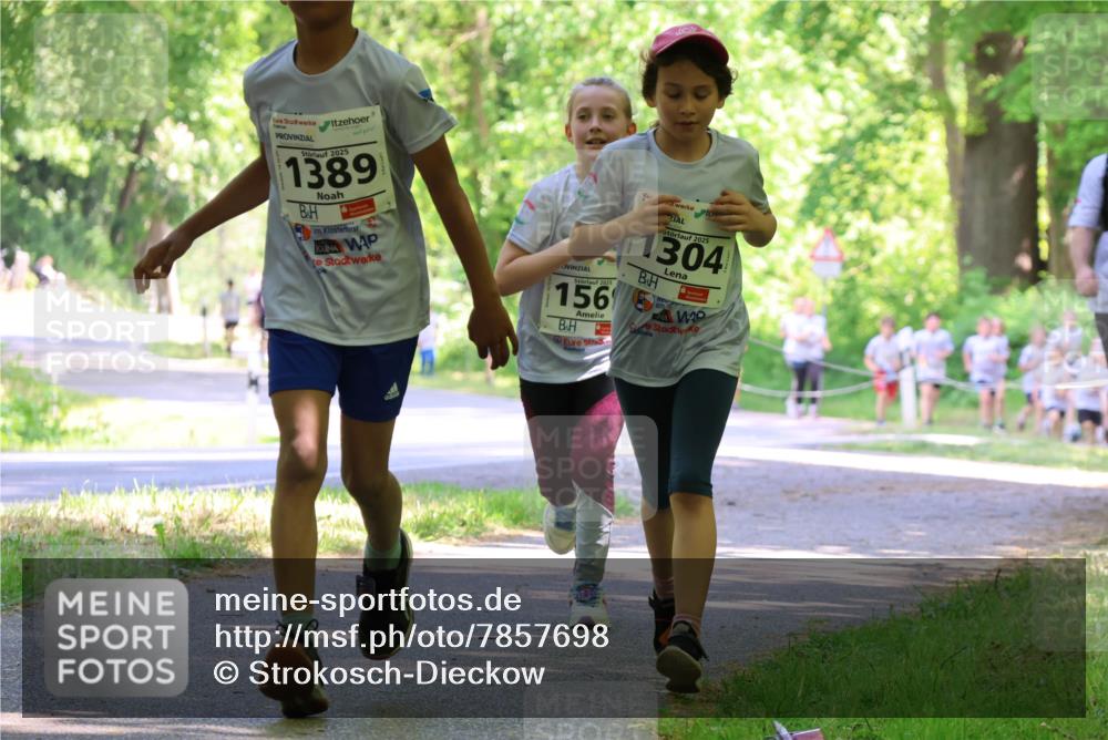17.05.2025 - Störlauf Strokosch-Dieckow http://msf.ph/oto/7857698 17.05.2025 14:48:16 Laufen 2025, 1389, 2025, 2025, 1304, 156, 5 meine-sportfotos.de