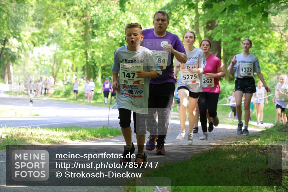 17.05.2025 - Störlauf Strokosch-Dieckow http://msf.ph/oto/7857747 17.05.2025 14:48:34 Laufen 202, 147, 5, 2, 2025, 84, 5275, 262, 1322, 1491 meine-sportfotos.de
