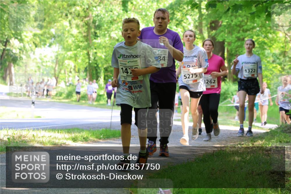 17.05.2025 - Störlauf Strokosch-Dieckow http://msf.ph/oto/7857750 17.05.2025 14:48:34 Laufen 147, 25, 34, 5275, 1262, 1322 meine-sportfotos.de