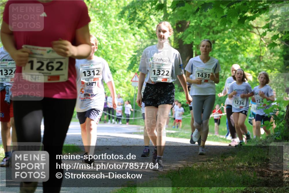 17.05.2025 - Störlauf Strokosch-Dieckow http://msf.ph/oto/7857764 17.05.2025 14:48:39 Laufen 2025, 1324, 1262, 1312, 1322, 1431, 1236, 12 meine-sportfotos.de