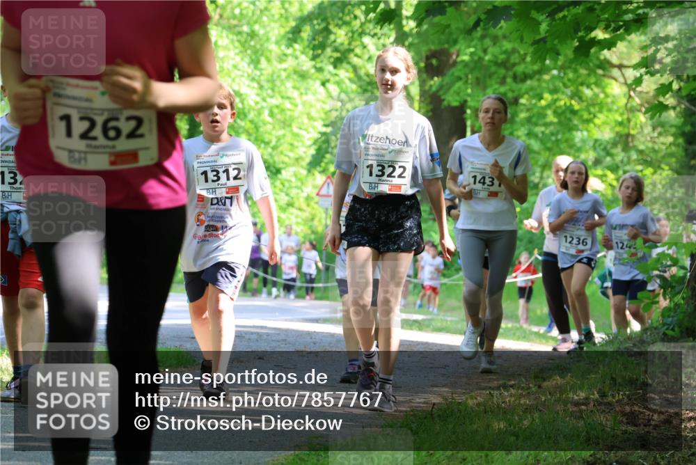 17.05.2025 - Störlauf Strokosch-Dieckow http://msf.ph/oto/7857767 17.05.2025 14:48:39 Laufen 13, 1262, 2025, 1312, 1322, 143, 1236, 124 meine-sportfotos.de