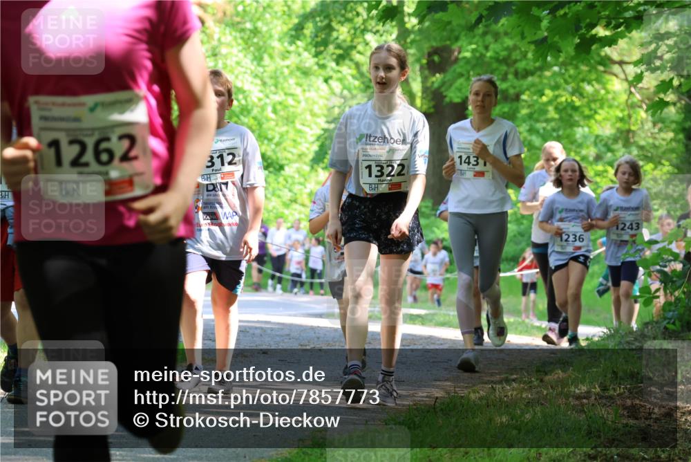 17.05.2025 - Störlauf Strokosch-Dieckow http://msf.ph/oto/7857773 17.05.2025 14:48:39 Laufen 1262, 2025, 312, 2025, 1322, 143, 1236, 1243 meine-sportfotos.de