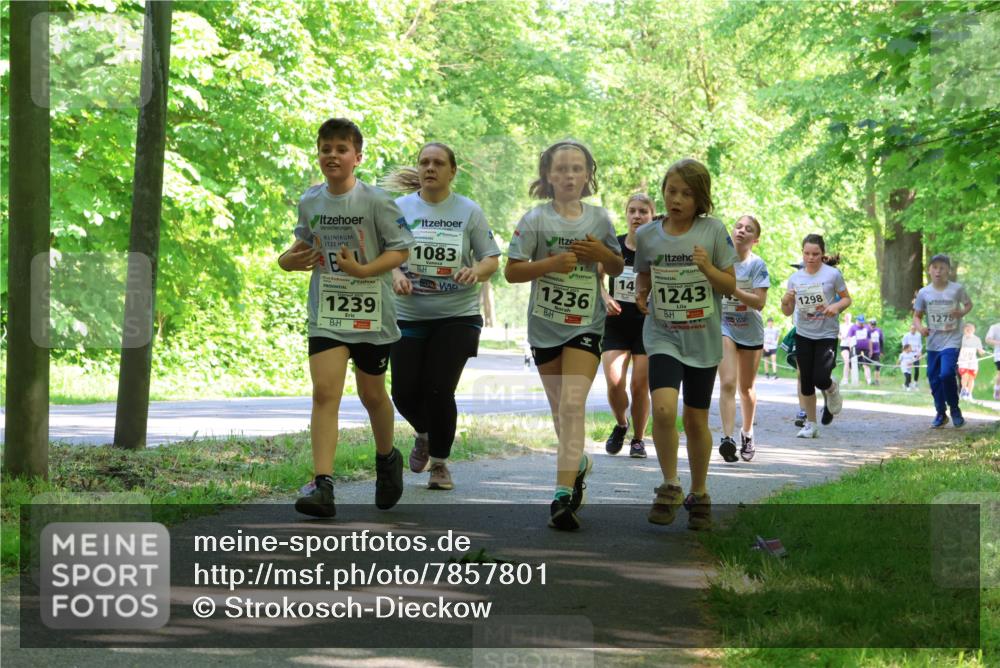 17.05.2025 - Störlauf Strokosch-Dieckow http://msf.ph/oto/7857801 17.05.2025 14:48:48 Laufen 1239, 1083, 1236, 14, 1243, 1298, 1278 meine-sportfotos.de