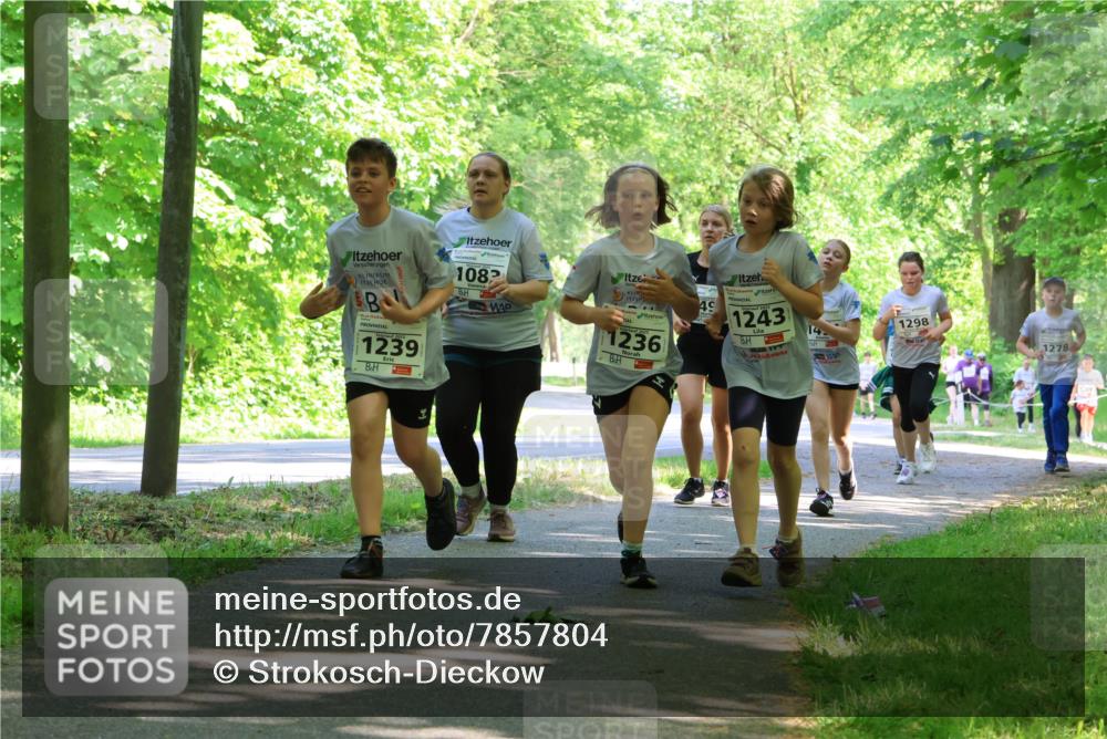 17.05.2025 - Störlauf Strokosch-Dieckow http://msf.ph/oto/7857804 17.05.2025 14:48:48 Laufen 1239, 1082, 1236, 49, 1243, 14, 1298, 1278 meine-sportfotos.de