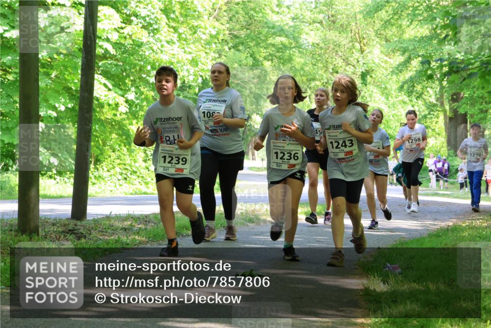 17.05.2025 - Störlauf Strokosch-Dieckow http://msf.ph/oto/7857806 17.05.2025 14:48:48 Laufen 1239, 10, 1236, 49, 1243, 1298, 1278 meine-sportfotos.de