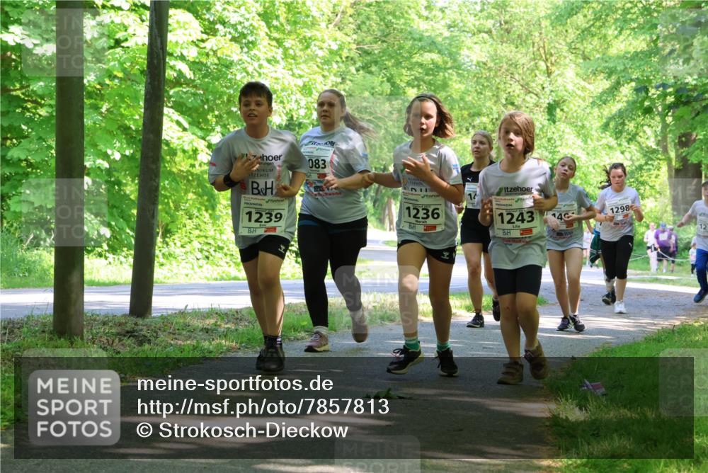 17.05.2025 - Störlauf Strokosch-Dieckow http://msf.ph/oto/7857813 17.05.2025 14:48:48 Laufen 1239, 083, 1236, 17, 1243, 4, 1298, 12 meine-sportfotos.de