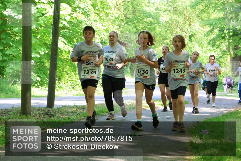 17.05.2025 - Störlauf Strokosch-Dieckow http://msf.ph/oto/7857815 17.05.2025 14:48:48 Laufen 1239, 1083, 1236, 14, 1243, 7, 1298 meine-sportfotos.de