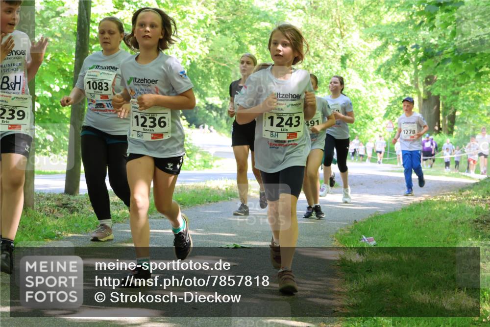 17.05.2025 - Störlauf Strokosch-Dieckow http://msf.ph/oto/7857818 17.05.2025 14:48:50 Laufen 2025, 239, 1083, 2025, 1236, 2025, 1243, 491, 1278 meine-sportfotos.de