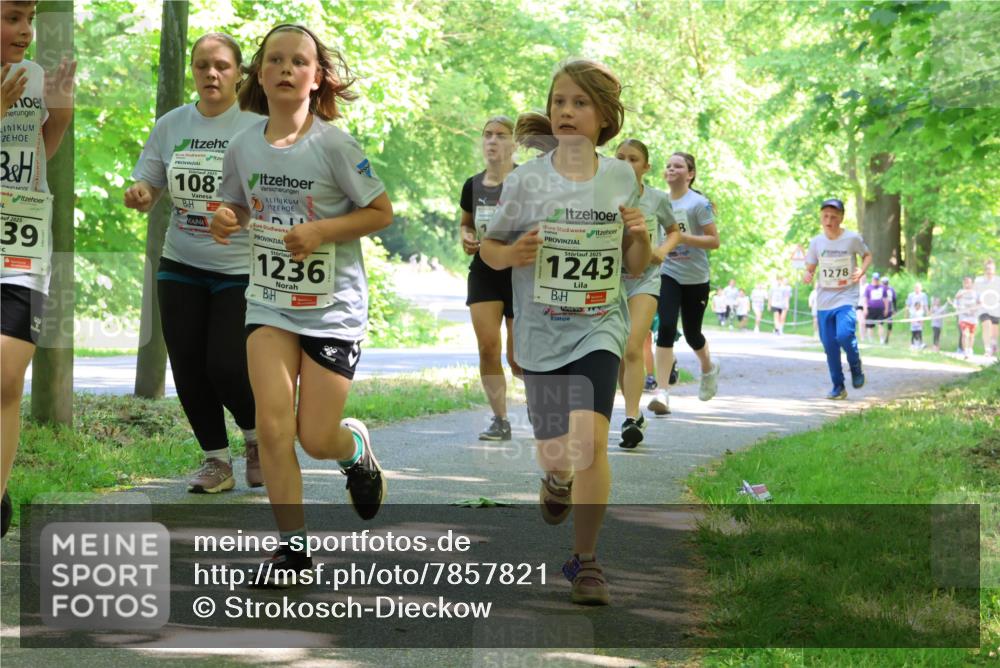 17.05.2025 - Störlauf Strokosch-Dieckow http://msf.ph/oto/7857821 17.05.2025 14:48:50 Laufen 2025, 39, 108, 1236, 2025, 1243, 1278 meine-sportfotos.de