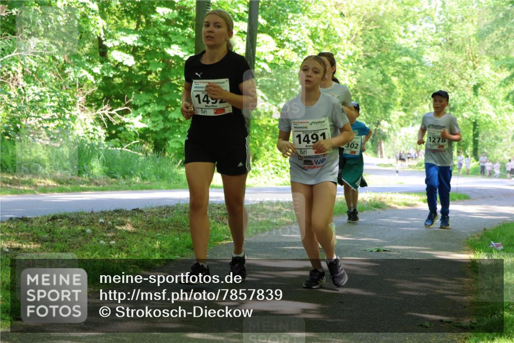 17.05.2025 - Störlauf Strokosch-Dieckow http://msf.ph/oto/7857839 17.05.2025 14:48:52 Laufen 1452, 2025, 1491, 302, 1278 meine-sportfotos.de