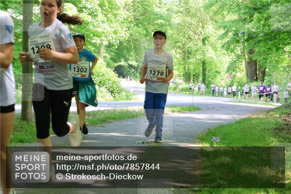 17.05.2025 - Störlauf Strokosch-Dieckow http://msf.ph/oto/7857844 17.05.2025 14:48:54 Laufen 1208, 1302, 1278 meine-sportfotos.de