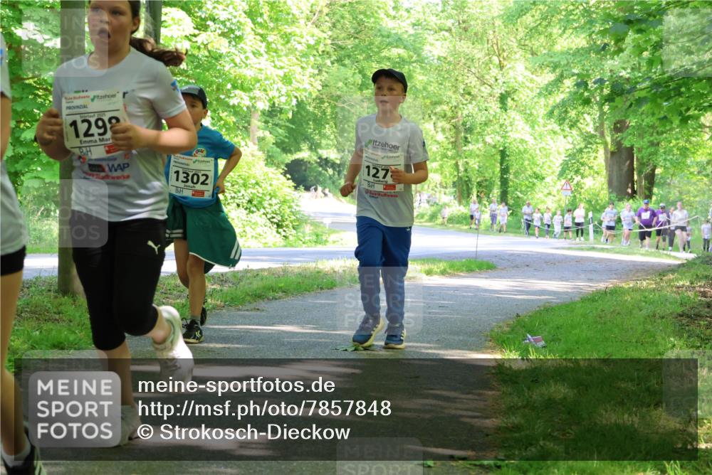 17.05.2025 - Störlauf Strokosch-Dieckow http://msf.ph/oto/7857848 17.05.2025 14:48:54 Laufen 2025, 1292, 1302, 127 meine-sportfotos.de