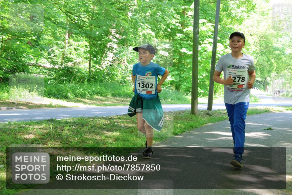 17.05.2025 - Störlauf Strokosch-Dieckow http://msf.ph/oto/7857850 17.05.2025 14:48:55 Laufen 2025, 1302, 2025, 278 meine-sportfotos.de