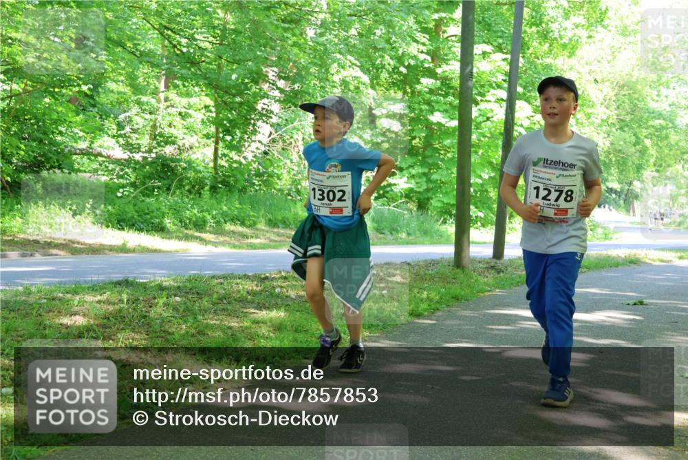 17.05.2025 - Störlauf Strokosch-Dieckow http://msf.ph/oto/7857853 17.05.2025 14:48:55 Laufen 1302, 2025, 1278 meine-sportfotos.de