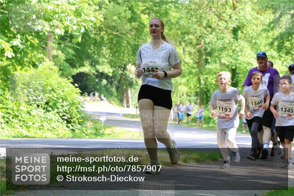 17.05.2025 - Störlauf Strokosch-Dieckow http://msf.ph/oto/7857907 17.05.2025 14:49:18 Laufen 1447, 85, 1193, 1346, 1345 meine-sportfotos.de
