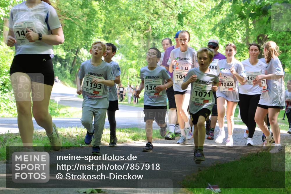 17.05.2025 - Störlauf Strokosch-Dieckow http://msf.ph/oto/7857918 17.05.2025 14:49:19 Laufen 14, 480, 1193, 134, 104, 2025, 1071, 1048, 145, 57 meine-sportfotos.de