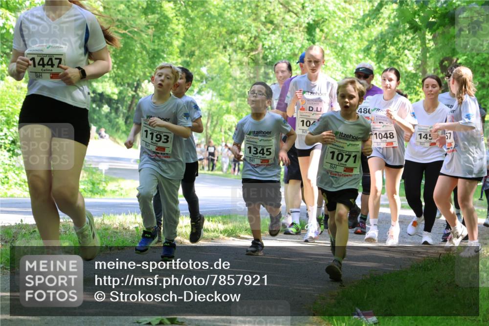 17.05.2025 - Störlauf Strokosch-Dieckow http://msf.ph/oto/7857921 17.05.2025 14:49:19 Laufen 1447, 1193, 1345, 10, 480, 2025, 1071, 1048, 145, 57 meine-sportfotos.de