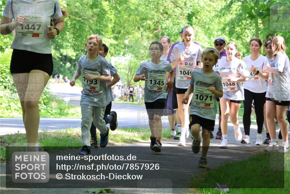 17.05.2025 - Störlauf Strokosch-Dieckow http://msf.ph/oto/7857926 17.05.2025 14:49:20 Laufen 2025, 1447, 193, 1345, 1049, 2025, 1071, 1048, 45 meine-sportfotos.de