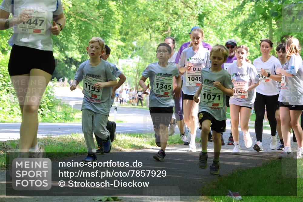 17.05.2025 - Störlauf Strokosch-Dieckow http://msf.ph/oto/7857929 17.05.2025 14:49:20 Laufen 447, 1193, 1345, 1049, 2025, 1071, 104, 14 meine-sportfotos.de