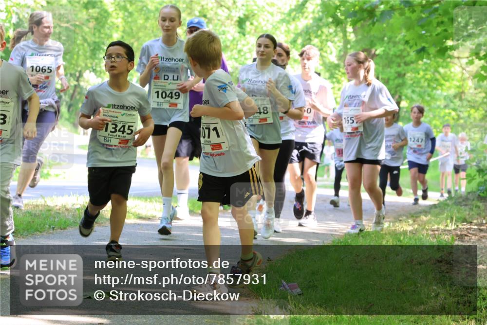 17.05.2025 - Störlauf Strokosch-Dieckow http://msf.ph/oto/7857931 17.05.2025 14:49:21 Laufen 1065, 1049, 2025, 071, 48, 50, 165, 2025, 1345, 1247 meine-sportfotos.de