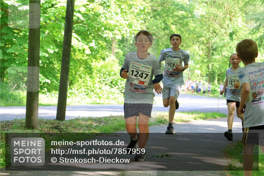 17.05.2025 - Störlauf Strokosch-Dieckow http://msf.ph/oto/7857959 17.05.2025 14:49:30 Laufen 20, 2025, 1247, 157, 12, 25, 60 meine-sportfotos.de