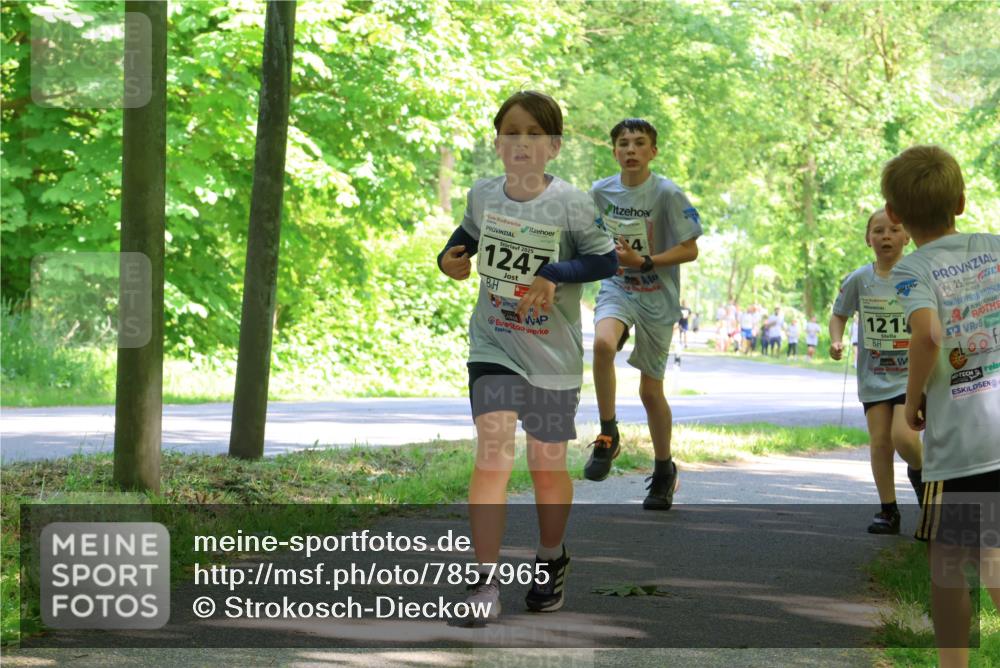 17.05.2025 - Störlauf Strokosch-Dieckow http://msf.ph/oto/7857965 17.05.2025 14:49:30 Laufen 2025, 1247, 121, 25, 5, 1025, 6 meine-sportfotos.de