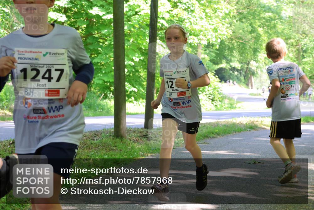 17.05.2025 - Störlauf Strokosch-Dieckow http://msf.ph/oto/7857968 17.05.2025 14:49:32 Laufen 2025, 1247, 12, 25 meine-sportfotos.de