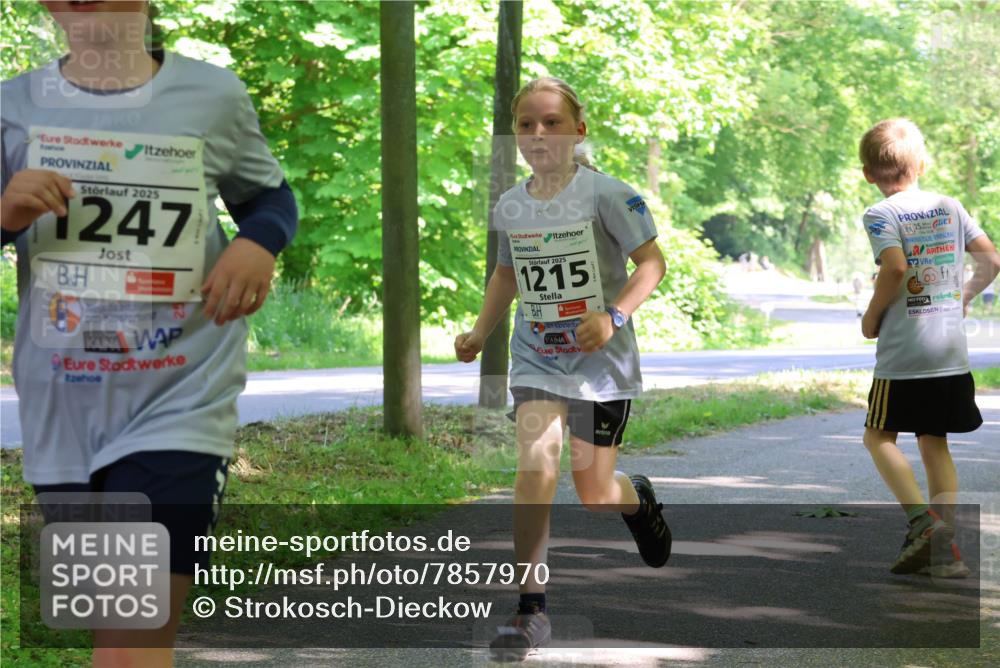 17.05.2025 - Störlauf Strokosch-Dieckow http://msf.ph/oto/7857970 17.05.2025 14:49:32 Laufen 2025, 247, 2025, 1215, 25 meine-sportfotos.de