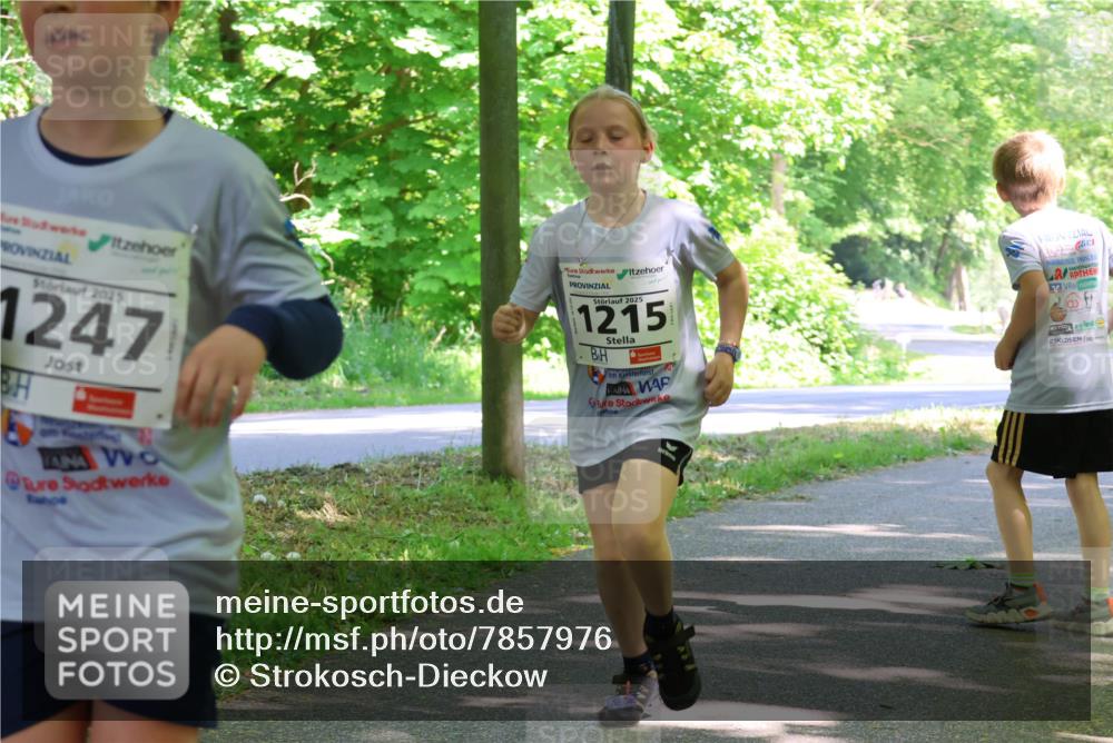 17.05.2025 - Störlauf Strokosch-Dieckow http://msf.ph/oto/7857976 17.05.2025 14:49:32 Laufen 16, 2025, 1247, 2025, 1215 meine-sportfotos.de