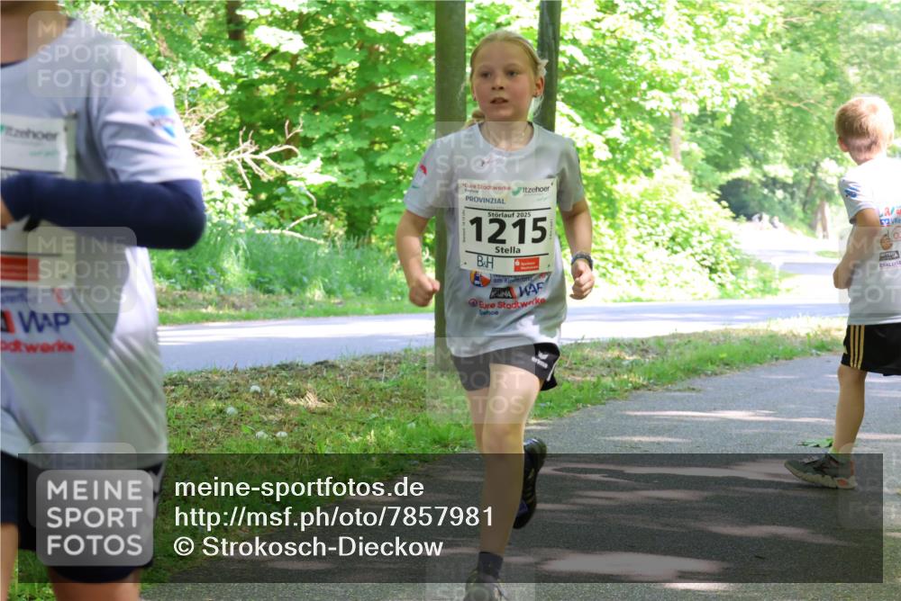 17.05.2025 - Störlauf Strokosch-Dieckow http://msf.ph/oto/7857981 17.05.2025 14:49:32 Laufen 2025, 1215 meine-sportfotos.de