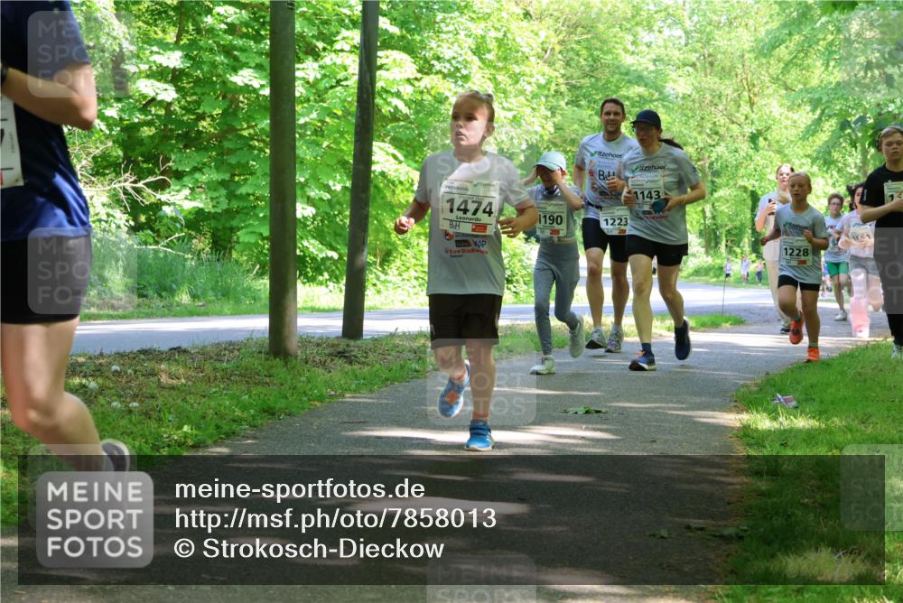 17.05.2025 - Störlauf Strokosch-Dieckow http://msf.ph/oto/7858013 17.05.2025 14:49:54 Laufen 2025, 1474, 1143, 1190, 1223, 1557, 1228 meine-sportfotos.de