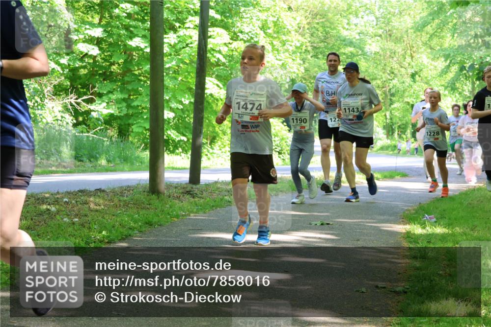 17.05.2025 - Störlauf Strokosch-Dieckow http://msf.ph/oto/7858016 17.05.2025 14:49:54 Laufen 2025, 1474, 1143, 1190, 122, 1228 meine-sportfotos.de