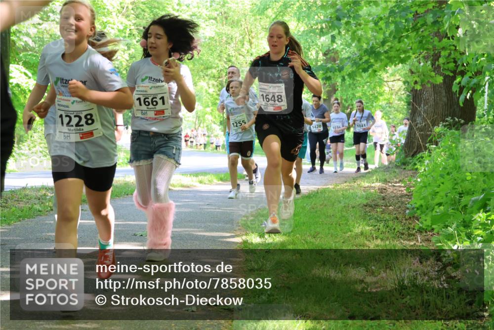 17.05.2025 - Störlauf Strokosch-Dieckow http://msf.ph/oto/7858035 17.05.2025 14:49:57 Laufen 2025, 1228, 2025, 1661, 1255, 1648, 1420, 1036, 1041, 1039 meine-sportfotos.de