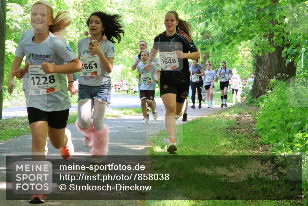 17.05.2025 - Störlauf Strokosch-Dieckow http://msf.ph/oto/7858038 17.05.2025 14:49:58 Laufen 2025, 1228, 1661, 1255, 1648, 1420, 1036, 1041 meine-sportfotos.de