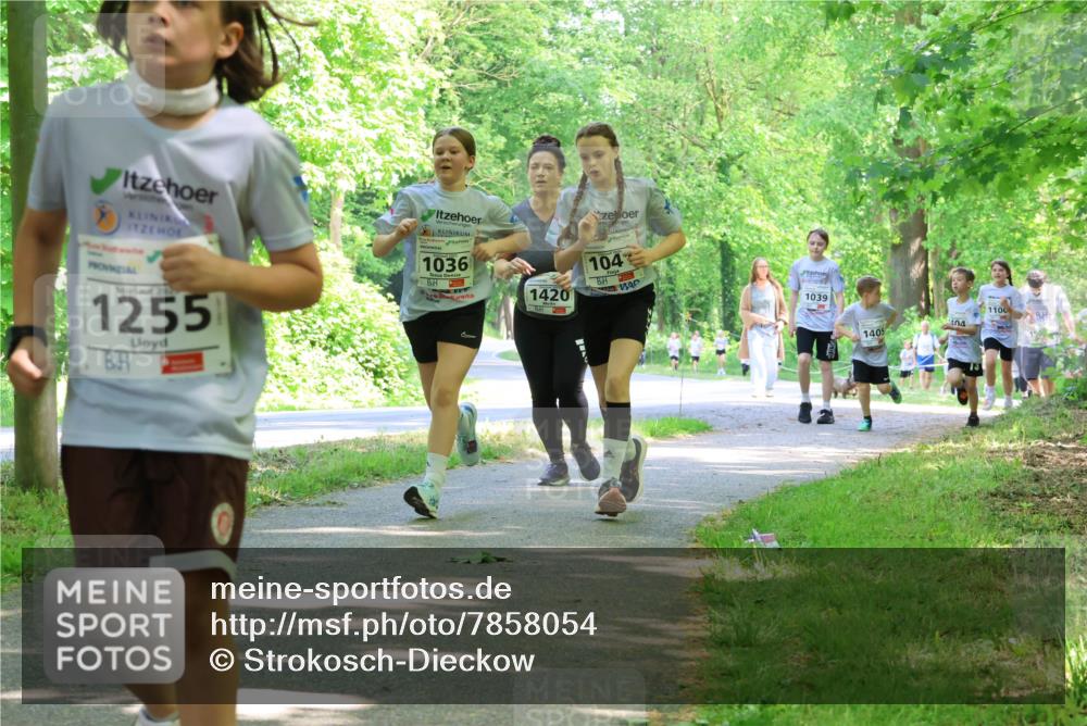 17.05.2025 - Störlauf Strokosch-Dieckow http://msf.ph/oto/7858054 17.05.2025 14:50:03 Laufen 20, 1255, 1036, 104, 1420, 1039, 1405, 1100, 404 meine-sportfotos.de
