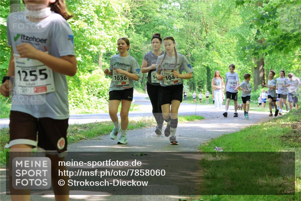17.05.2025 - Störlauf Strokosch-Dieckow http://msf.ph/oto/7858060 17.05.2025 14:50:03 Laufen 2025, 1255, 1036, 14, 104, 1039, 1100, 1550 meine-sportfotos.de