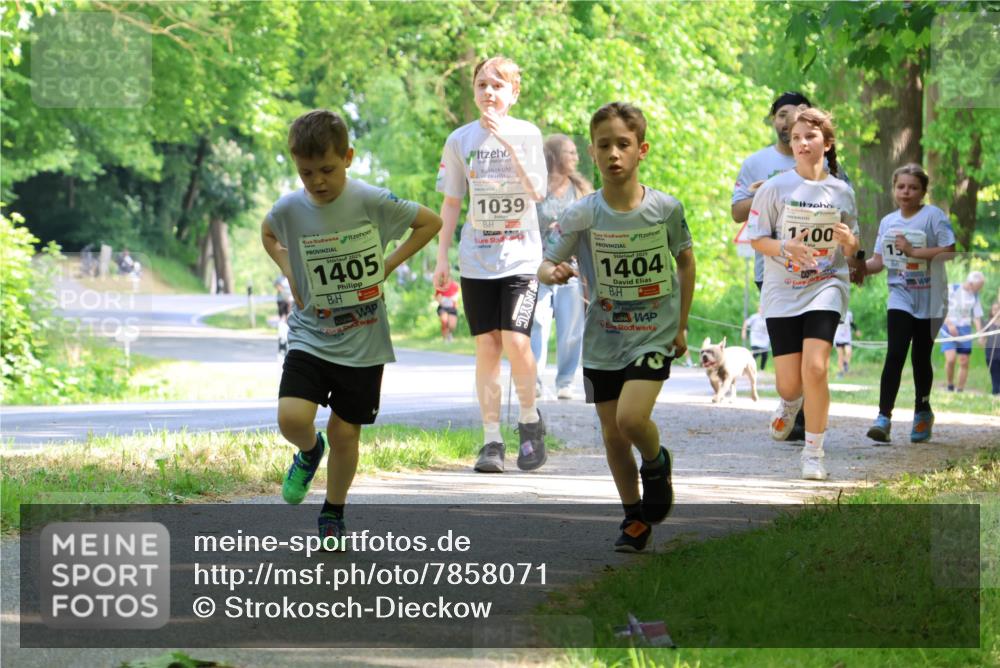 17.05.2025 - Störlauf Strokosch-Dieckow http://msf.ph/oto/7858071 17.05.2025 14:50:06 Laufen 2025, 1405, 1039, 2025, 1404, 1700 meine-sportfotos.de