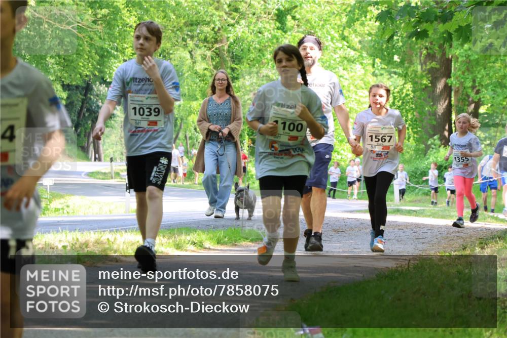 17.05.2025 - Störlauf Strokosch-Dieckow http://msf.ph/oto/7858075 17.05.2025 14:50:09 Laufen 1567, 4, 1039, 100, 15, 1355 meine-sportfotos.de