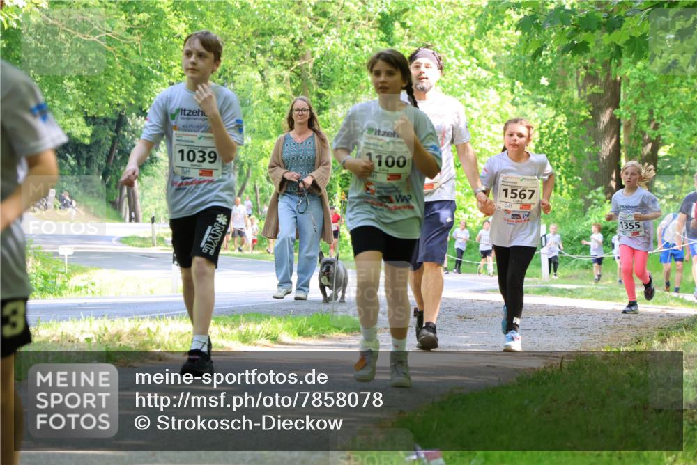 17.05.2025 - Störlauf Strokosch-Dieckow http://msf.ph/oto/7858078 17.05.2025 14:50:09 Laufen 3, 1039, 1100, 1567, 1355 meine-sportfotos.de