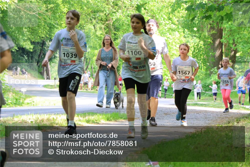 17.05.2025 - Störlauf Strokosch-Dieckow http://msf.ph/oto/7858081 17.05.2025 14:50:09 Laufen 1039, 1100, 50, 1567, 1355 meine-sportfotos.de