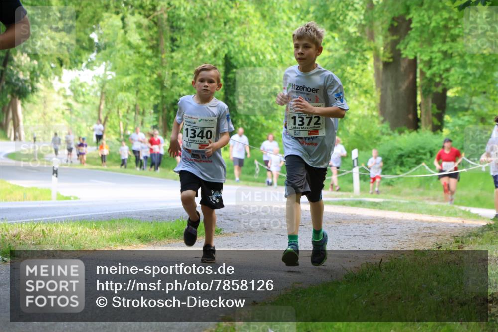 17.05.2025 - Störlauf Strokosch-Dieckow http://msf.ph/oto/7858126 17.05.2025 14:50:25 Laufen 1340, 2025, 1372 meine-sportfotos.de