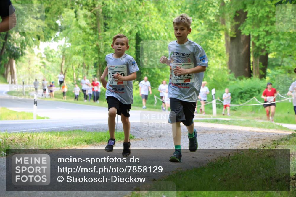 17.05.2025 - Störlauf Strokosch-Dieckow http://msf.ph/oto/7858129 17.05.2025 14:50:25 Laufen 25 meine-sportfotos.de