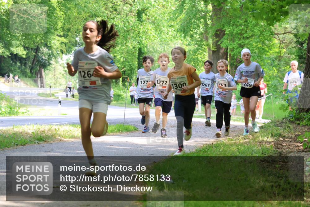 17.05.2025 - Störlauf Strokosch-Dieckow http://msf.ph/oto/7858133 17.05.2025 14:50:30 Laufen 126, 127, 1272, 1300, 1267, 12, 1249, 1428 meine-sportfotos.de