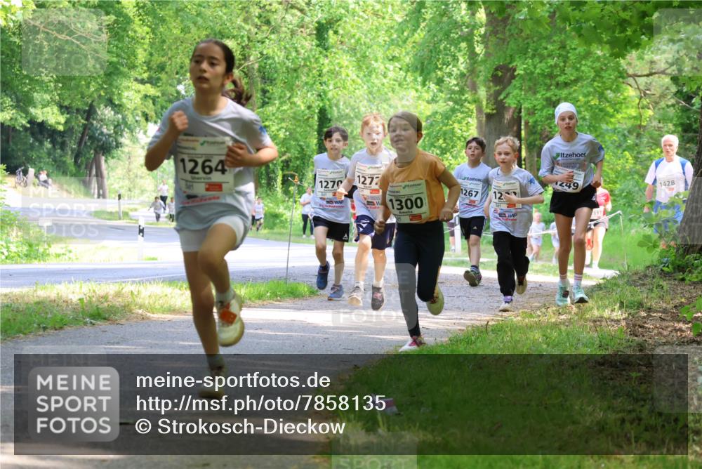 17.05.2025 - Störlauf Strokosch-Dieckow http://msf.ph/oto/7858135 17.05.2025 14:50:31 Laufen 1264, 1270, 1277, 1300, 1267, 12, 249, 1428 meine-sportfotos.de