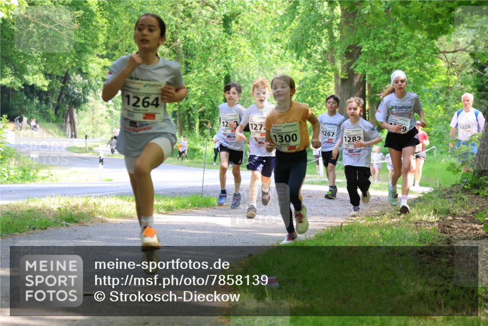 17.05.2025 - Störlauf Strokosch-Dieckow http://msf.ph/oto/7858139 17.05.2025 14:50:31 Laufen 1264, 12, 127, 1300, 1267, 1282, 1428 meine-sportfotos.de