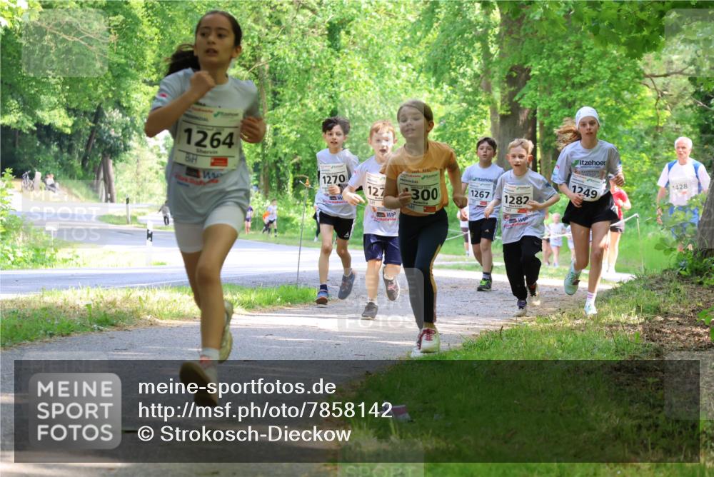 17.05.2025 - Störlauf Strokosch-Dieckow http://msf.ph/oto/7858142 17.05.2025 14:50:31 Laufen 1264, 1270, 127, 300, 1249, 1267, 1282, 1428 meine-sportfotos.de