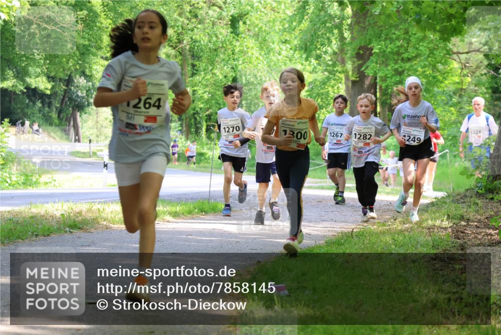 17.05.2025 - Störlauf Strokosch-Dieckow http://msf.ph/oto/7858145 17.05.2025 14:50:31 Laufen 264, 1270, 1300, 1267, 1282, 1428, 249 meine-sportfotos.de