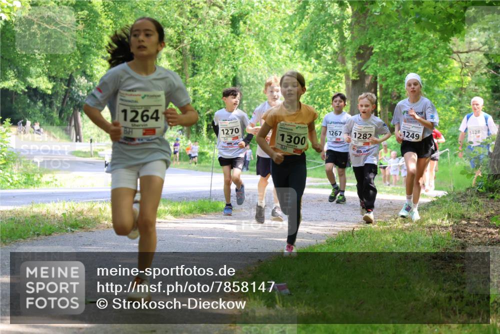 17.05.2025 - Störlauf Strokosch-Dieckow http://msf.ph/oto/7858147 17.05.2025 14:50:31 Laufen 1264, 1270, 1300, 1267, 1282, 1249, 1428 meine-sportfotos.de